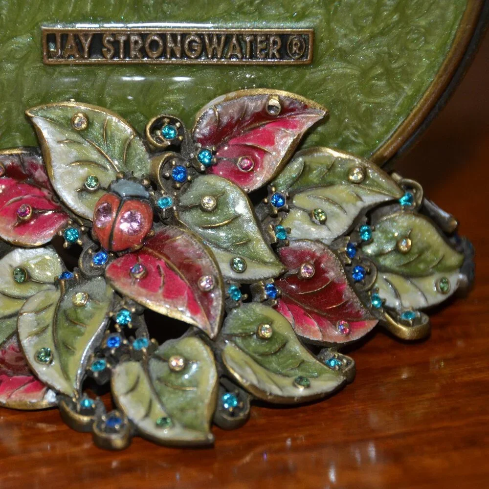 RARE JAY STRONGWATER DRAGONFLY LILY FLOWER FLORAL LEAF  ENAMEL CRYSTAL FRAME